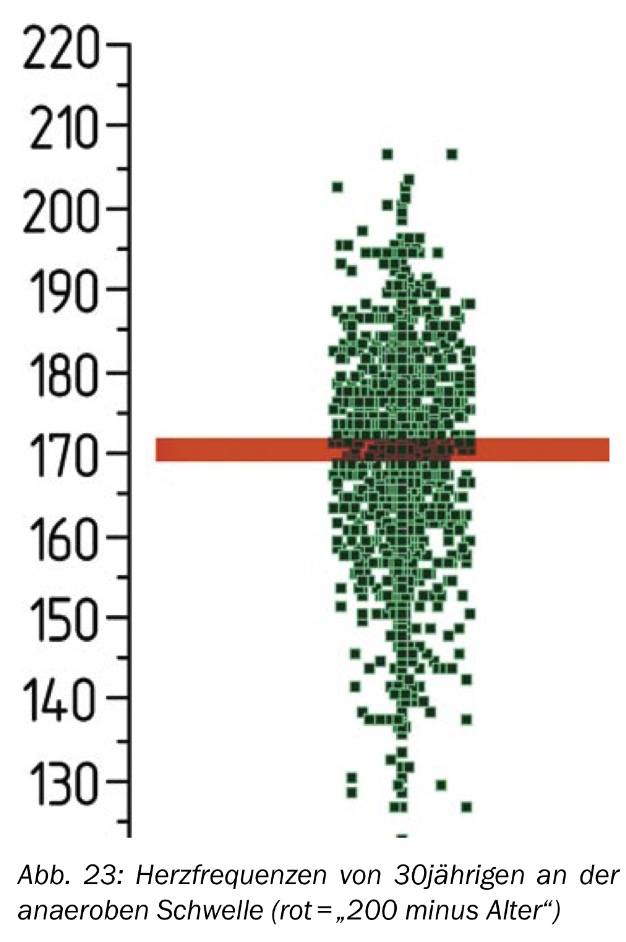 Laufen nach individuellen Pulswerten Laufen mit individuellen Werten - Perzentilendiagramm