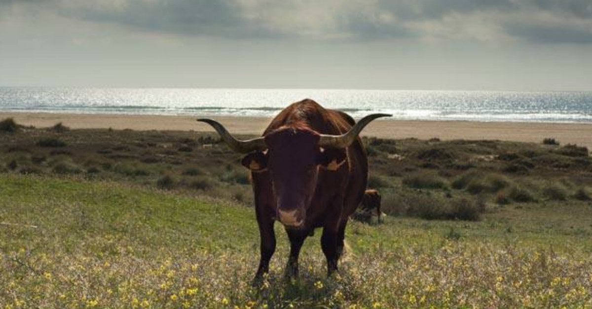 Laufreise Andalusien 2019 - SCHORK Sports