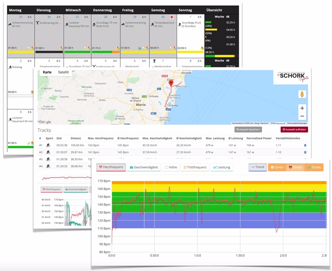 Trainingsplanung - Online Coaching SCHORK Sports
