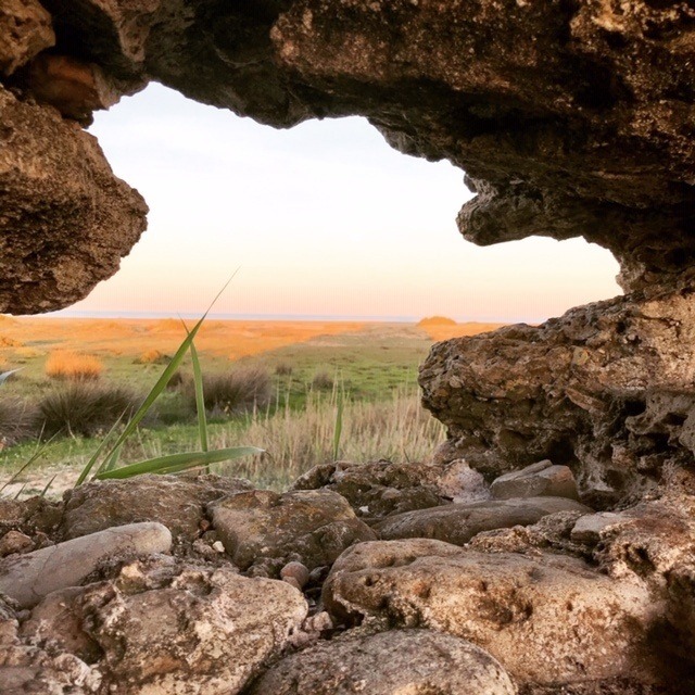 Öffnungszeiten SCHORK SportsLab Freinsheim