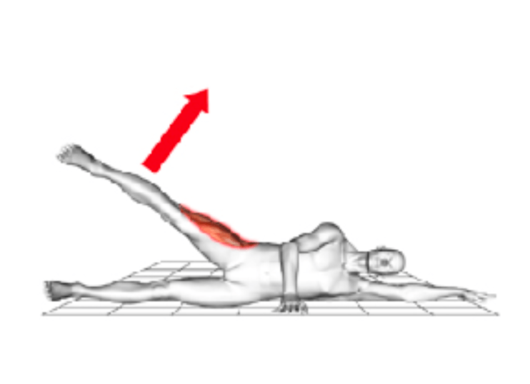 Abduktorenübung - Übungen für den Gluteus. SCHORK Sports