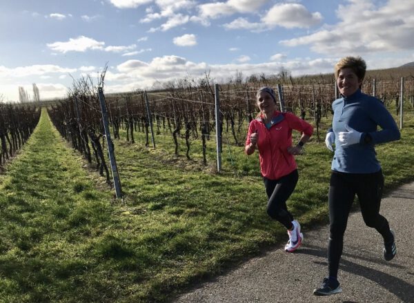Kardiovaskulärer Drift - Trainingssteuerung | SCHORK Sports Freinsheim