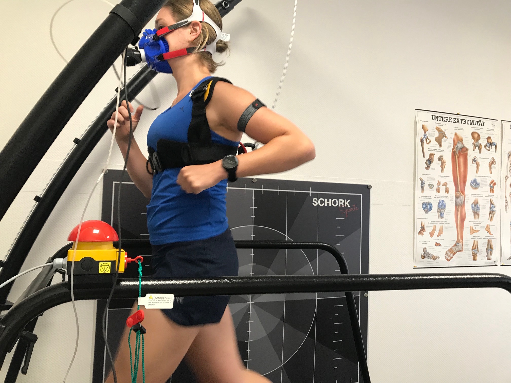 Leistungsdiagnostik Laufband - Für wen ist eine Leistungsdiagnostik wichtig?