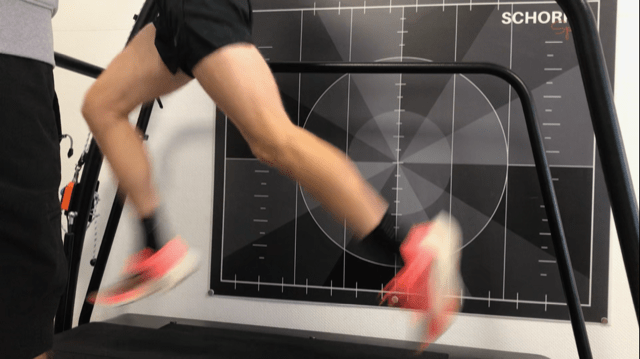 Laufband xxl - Leistungsdiagnostik SCHORK Sports Freinsheim