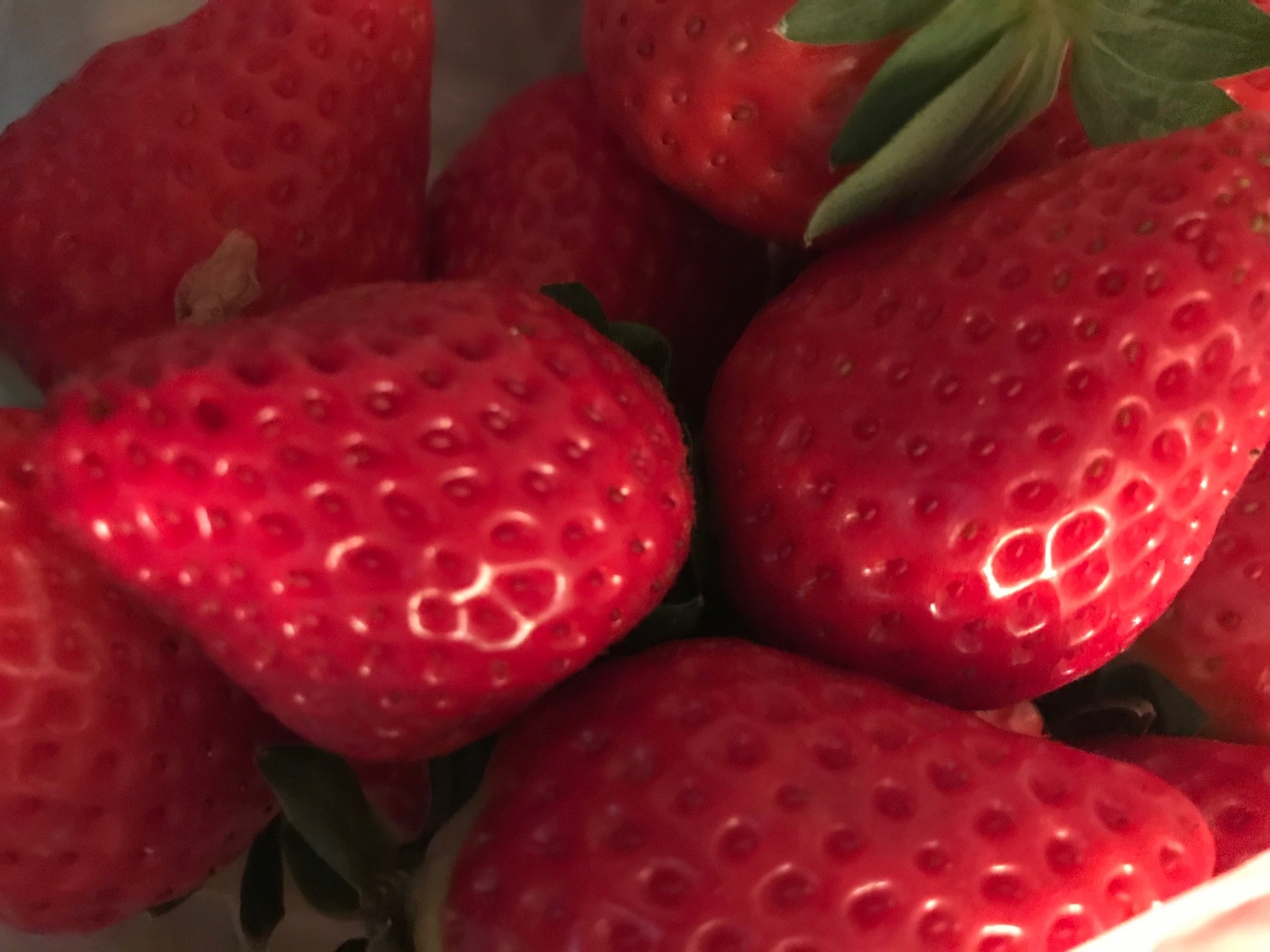 Immunsystem stärken - Ernährung | SCHORK SPORTS