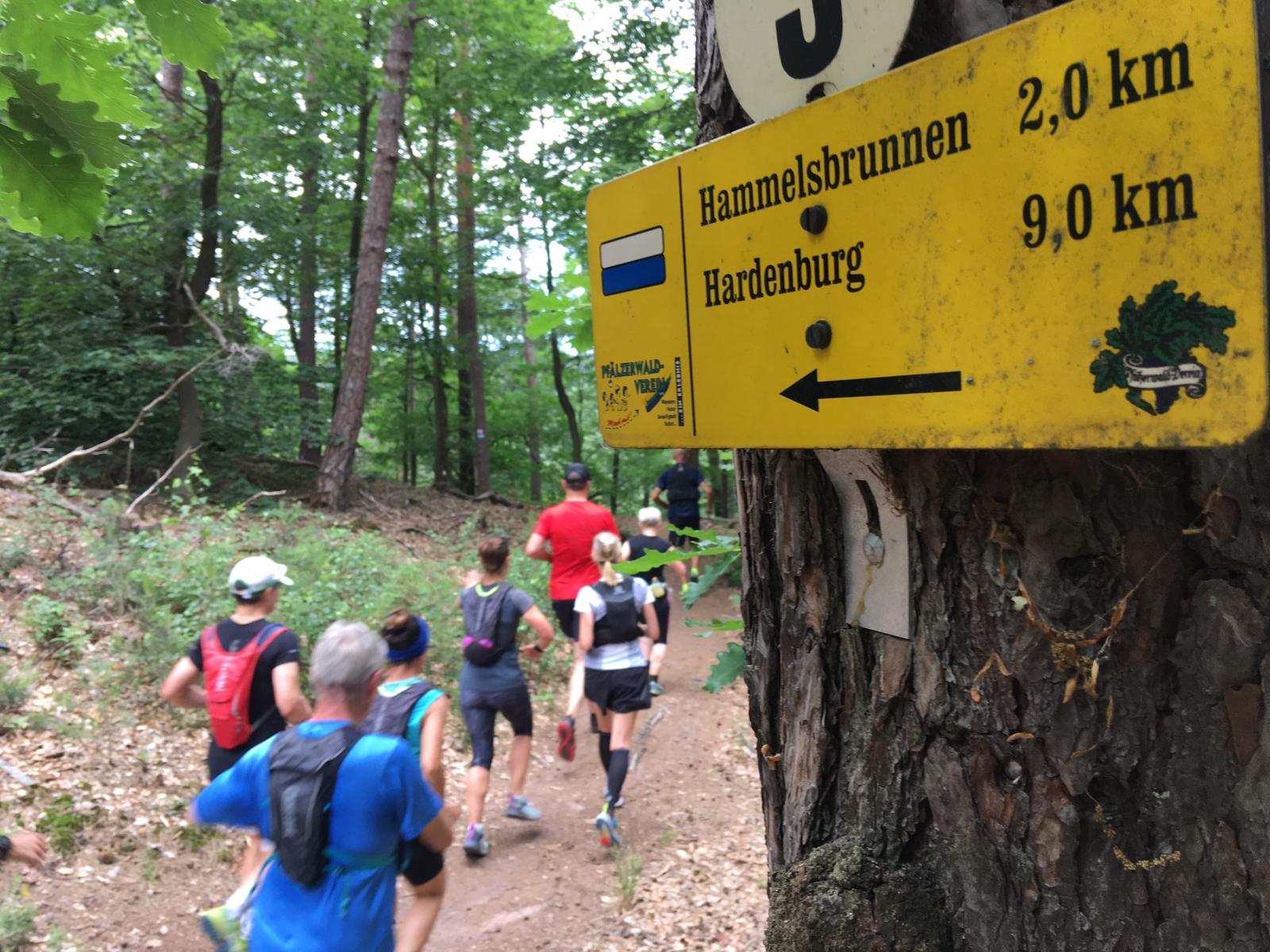 Walk and Run als herzfrequenzgesteuertes Training für Einsteiger und Wiedereinsteiger imLaufsport