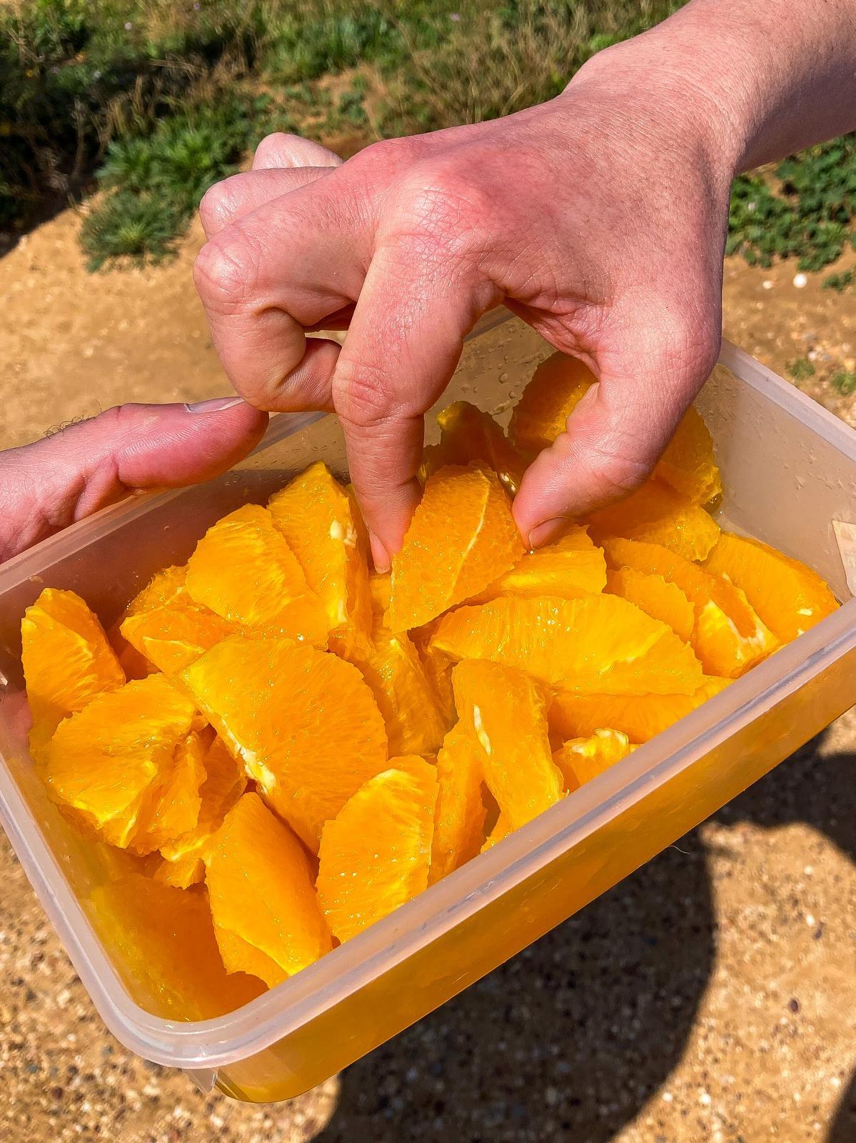 Energieverfügbarkeit im Training, Wettkampf und Regeneration - SCHORK sports